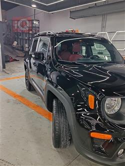 جيب رينيجيد